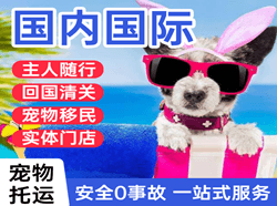 百色航空快递国际宠物托运 【国